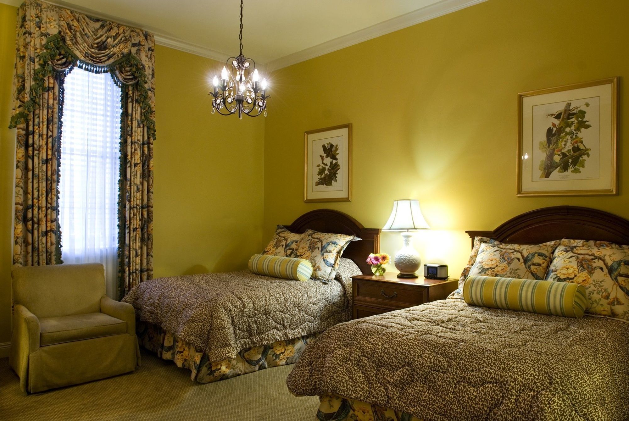 Bienville House Hotel Новий Орлеан Екстер'єр фото